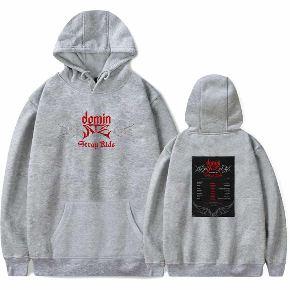 Vintage grey K-pop hoodie with "Dominator Stray Kids" logo and concert tour back print.
