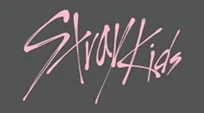 logo stray kids store